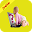 New Baby Names Download on Windows