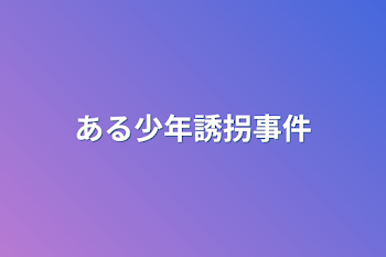 ある少年誘拐事件