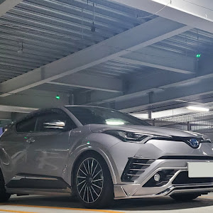 C-HR ZYX10