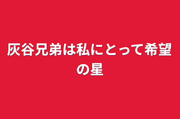 灰谷兄弟は私にとって希望の星