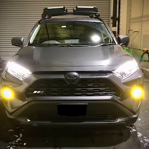 RAV4 MXAA54