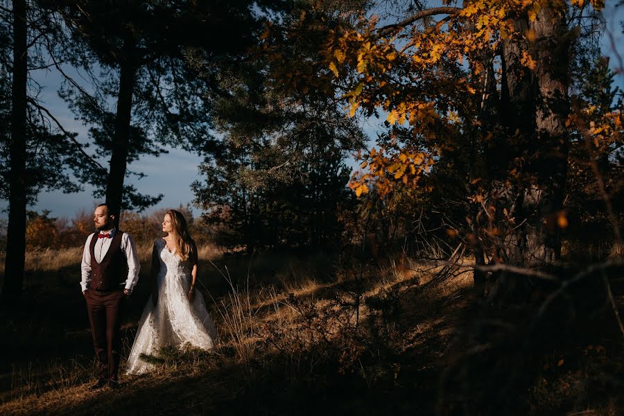 Hochzeitsfotograf Dennis Vasilev (weddenis). Foto vom 16. Mai 2019