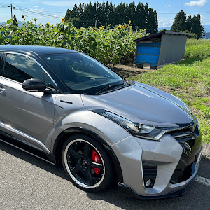 C-HR