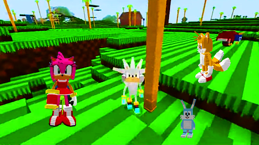 Screenshot Mod Craft Hedgehog Sonic