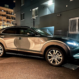 CX-30 DMEP