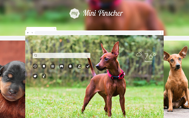 Mini Pinscher - Cute Dog & Puppy Wallpapers