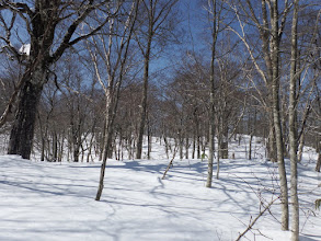 山頂手前（左奥が山頂）