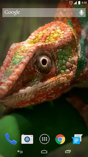 3D Chameleon Live Wallpaper