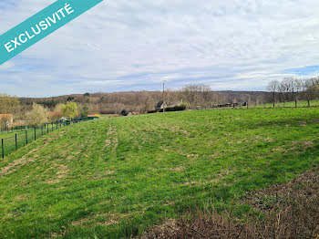 terrain à Métairies-Saint-Quirin (57)