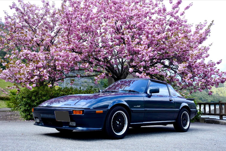 サバンナRX-7のサクラと愛車・4月もよろしくお願い致します🌸・ロータリー・マツダに関するカスタム事例の投稿画像1枚目
