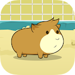 Guinea Pig Evolution - Clicker Apk