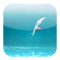 Item logo image for Arctic Tern Theme