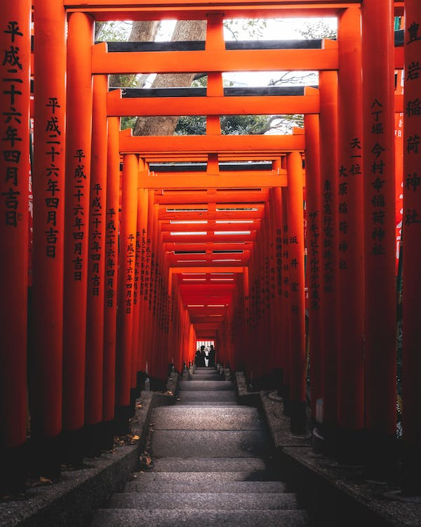Should I Go to Japan or Vietnam (Answered!)