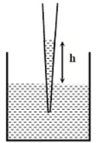 Capillarity