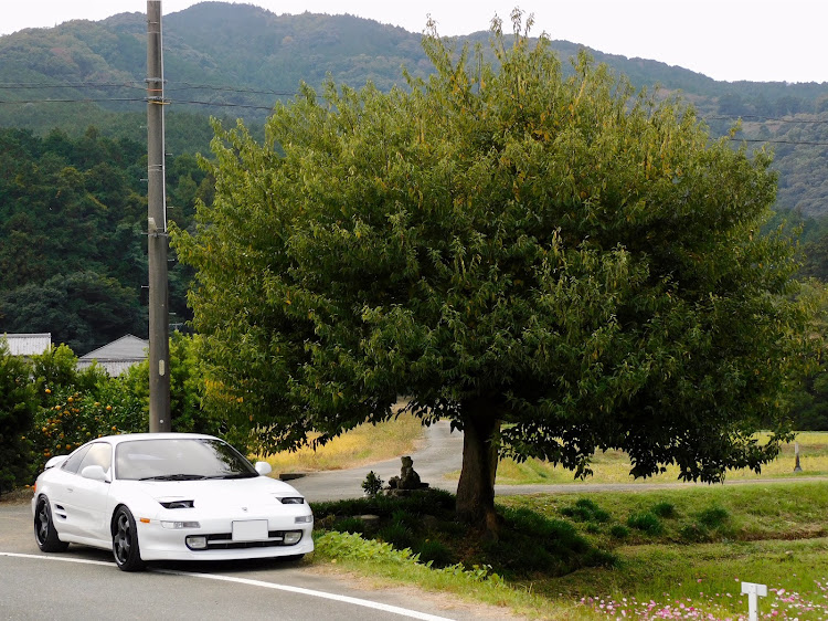 MR2のリトラの日・コスモス・ニアム写真館・伊砂橋に関するカスタム事例の投稿画像16枚目