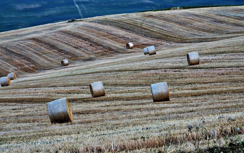 I Rotoloni di Paglia di sbrilla