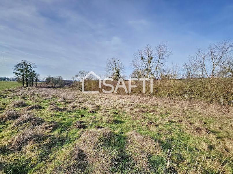 Vente terrain  9918 m² à Pulligny (54160), 28 000 €