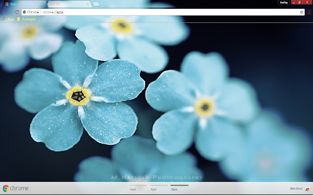 Blue Flower chrome extension