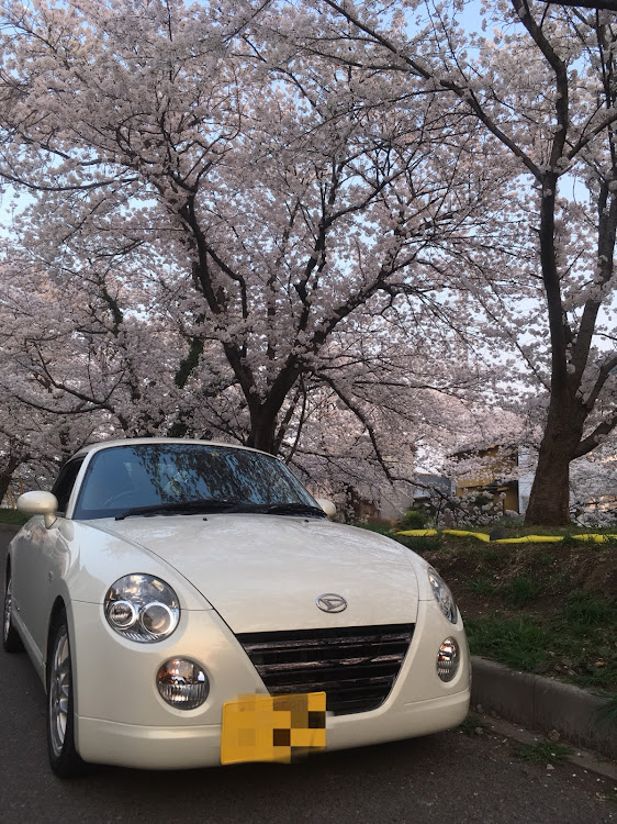 コペンのサクラ・コペンに関するカスタム事例の投稿画像1枚目