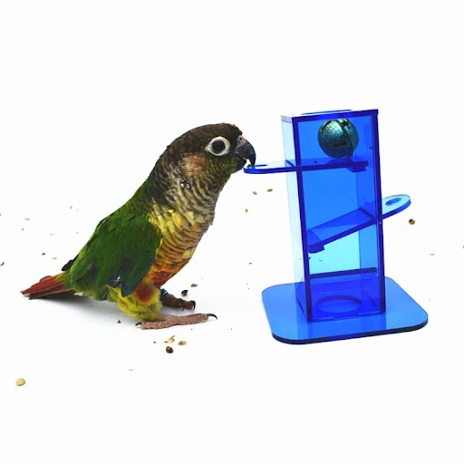 Parrot Foraging Toy for Bird Intelligence Growth Clear Acrylic Box with Metal Bell Strengthen Relationship with Birds