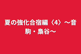 夏の強化合宿編〈4〉～音駒・梟谷～