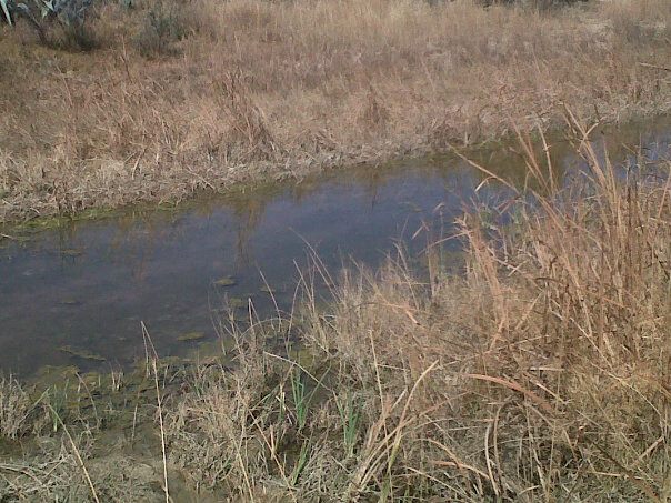 Matlala river.