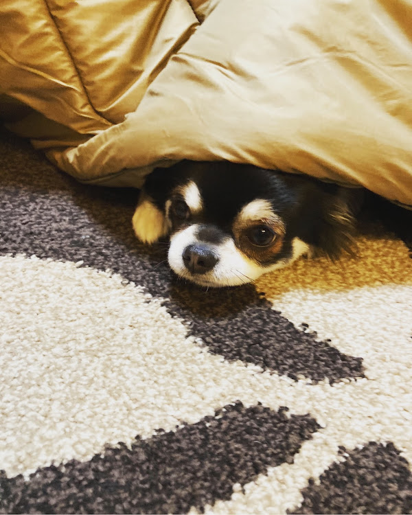 シーマののんさんが投稿したカスタム事例の投稿画像5枚目