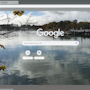 Lake view Chrome extension download