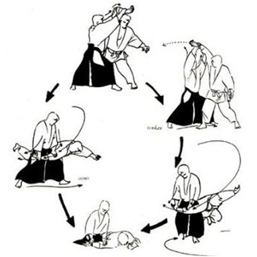 aikido technique