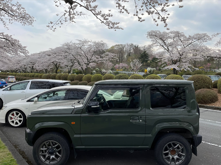 ジムニーの桜とコラボに関するカスタム事例の投稿画像1枚目