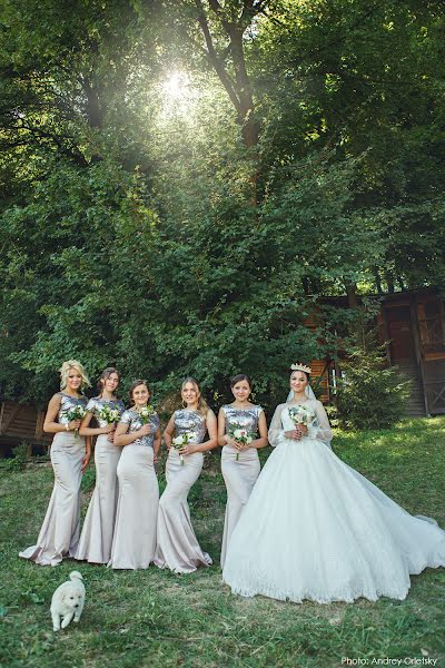 Photographe de mariage Andrey Orleckiy (andreyorletsky). Photo du 1 novembre 2016