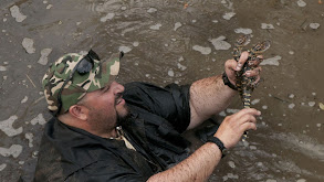 Swamp Shootout thumbnail