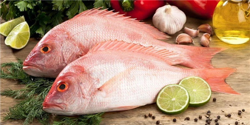 Low Fat Diet Meal Plan Pdf: le rgime palo est il fait pour vous allez sant...