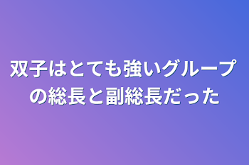 双子はとても強いグループの総長と副総長だった