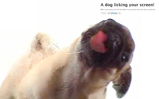 Dog licking your screen chrome extension