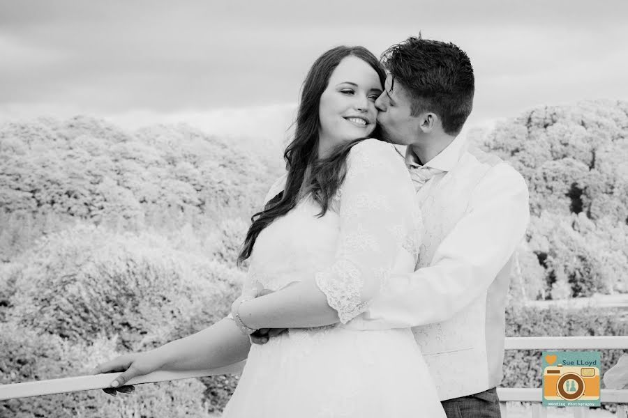 Photographe de mariage Sue Lloyd (suelloydphoto). Photo du 1 juin 2019