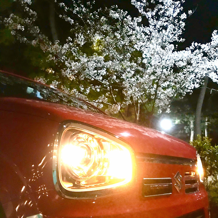 アルトワークスの桜に関するカスタム事例の投稿画像2枚目