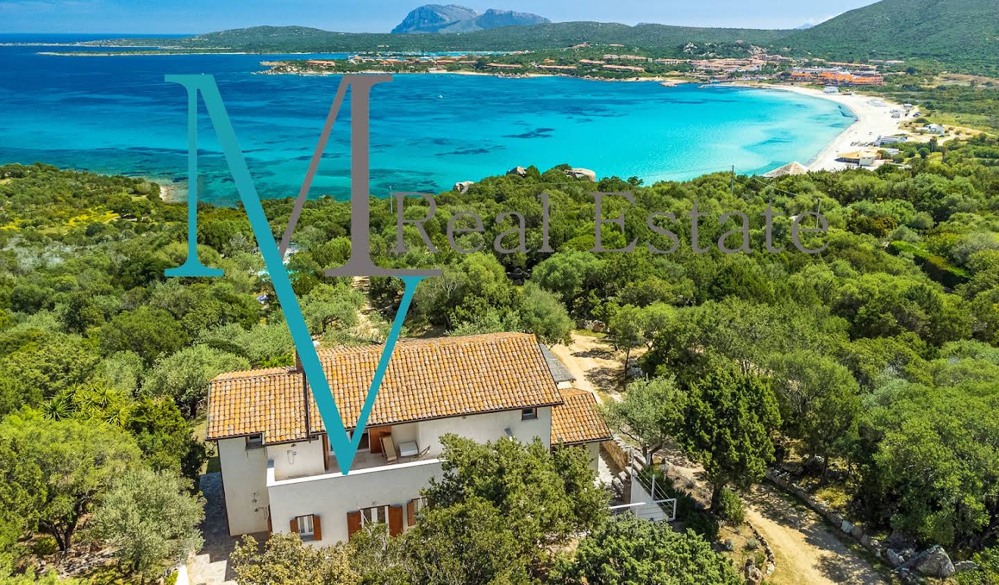 Villa avec piscine en bord de mer Porto Rotondo