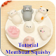 Download Cara Membuat Squishy For PC Windows and Mac 1.2