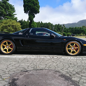 NSX NA1