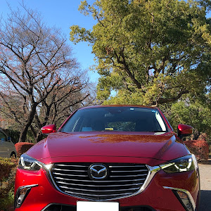 CX-3 DKEFW