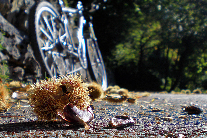 Autunno in bicicletta di Leobici