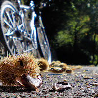 Autunno in bicicletta di 