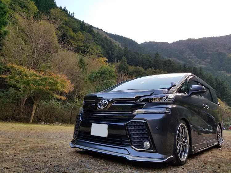 ヴェルファイアのドライブスポット・静岡県・寸又峡・夢の吊り橋に関するカスタム事例の投稿画像3枚目