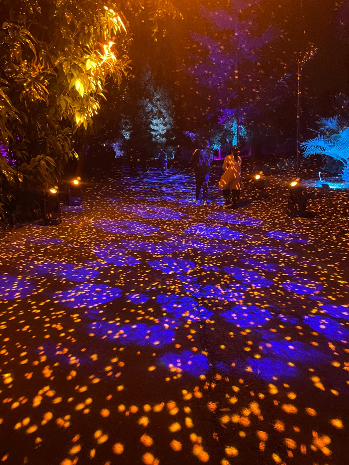 los angeles arboretum lightscape disco