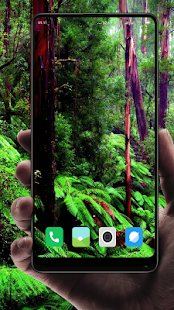 Forest  Wallpaper HD(圖2)-速報App