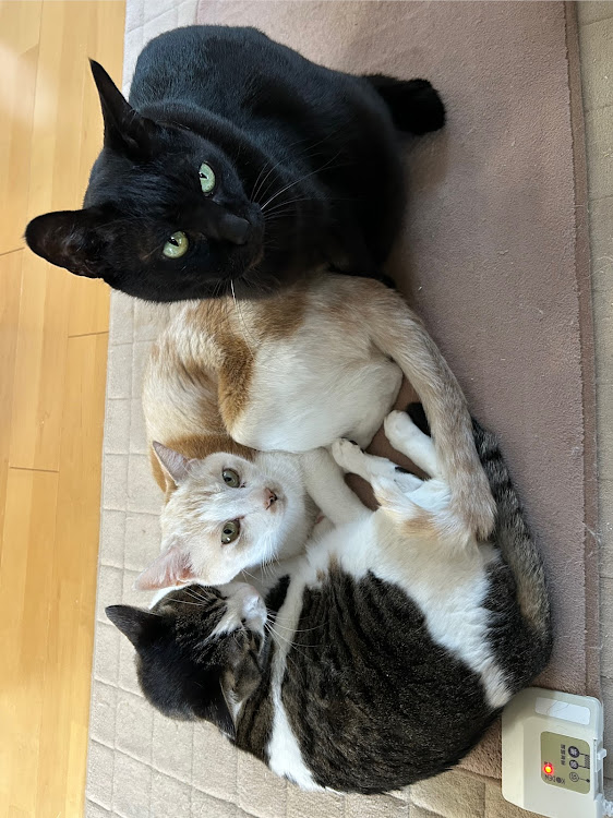 デミオのsupercatさんが投稿したカスタム事例の投稿画像1枚目