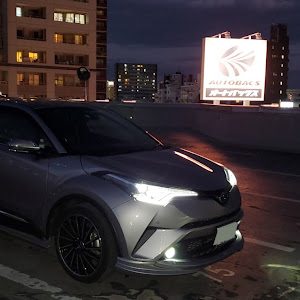 C-HR ZYX10