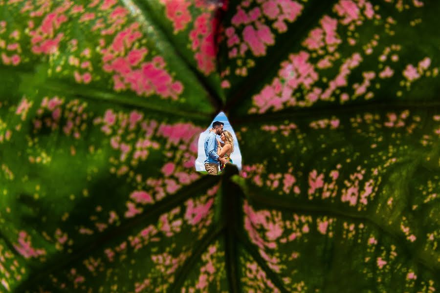 Fotógrafo de bodas Daniel Ribeiro (danielpribeiro). Foto del 4 de marzo 2019