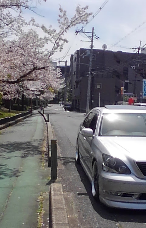 セルシオの桜通り・コロナウイルスに関するカスタム事例の投稿画像2枚目